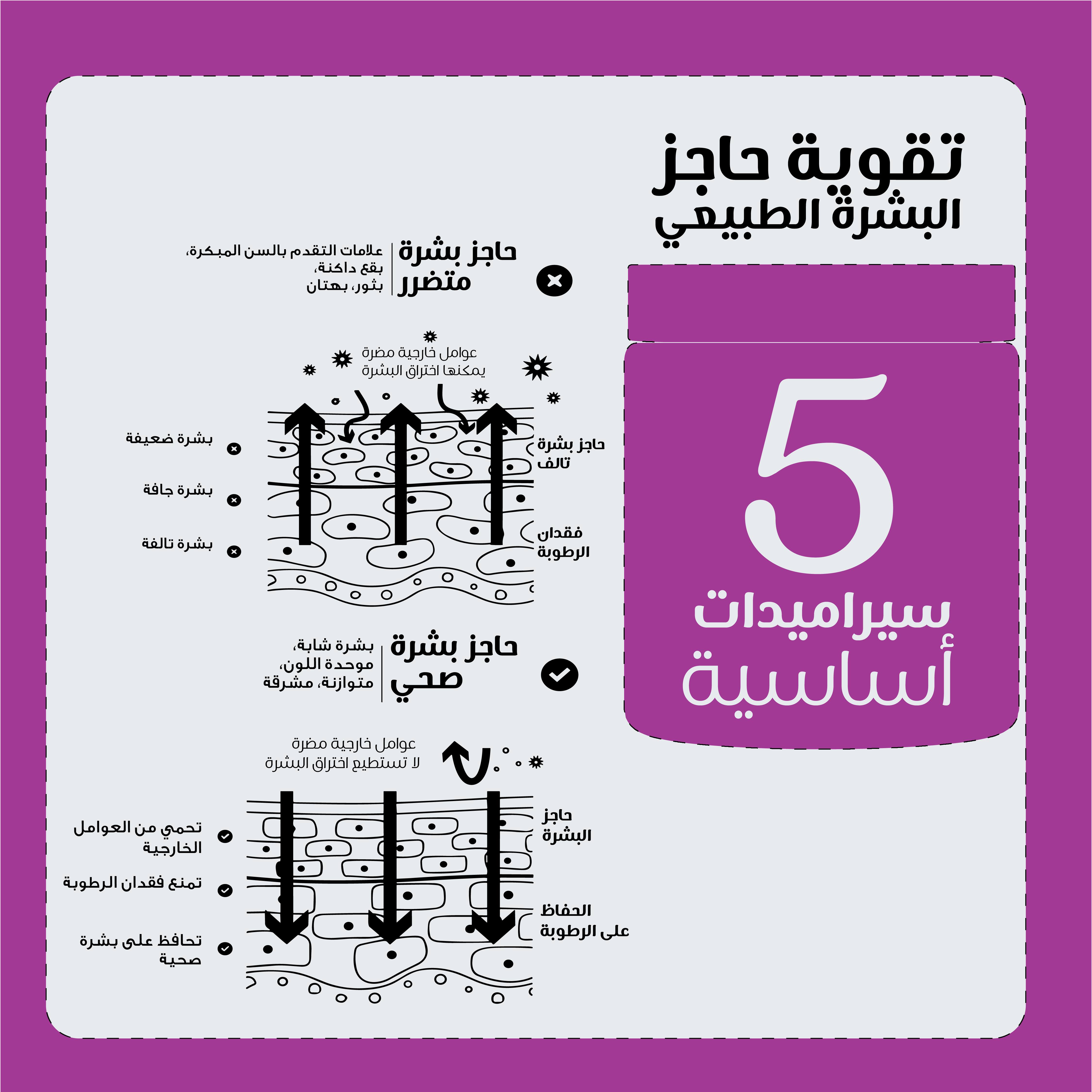 كريم تجاعيد بيزلين 50 ملي يحمي حاجز البشرة — بيزلين