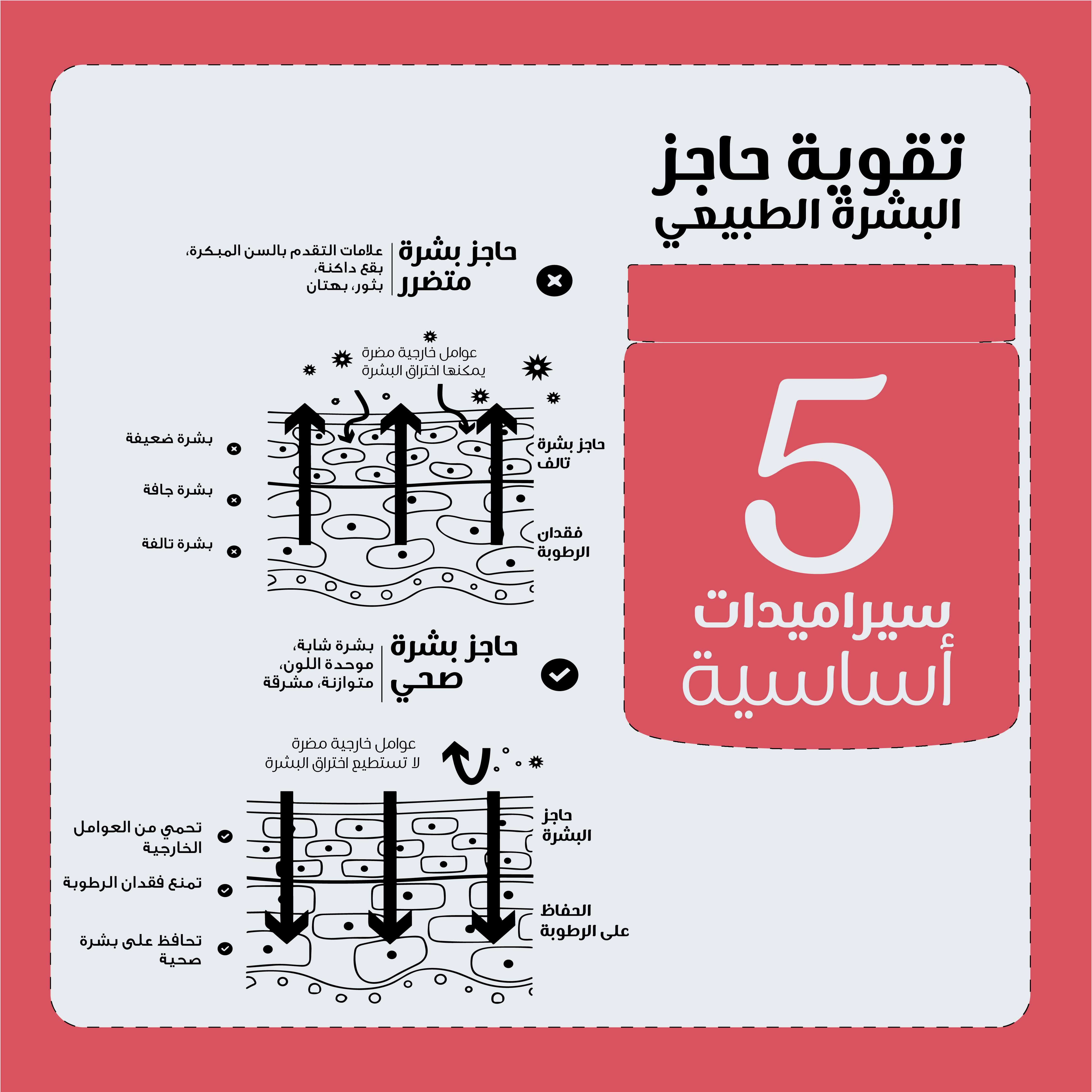 كريم بشرة بيزلين ادابتوجين 50 ملي — بيزلين